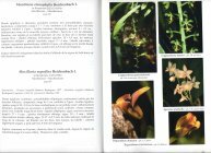 Scan du livre des orchid�es de Guyane